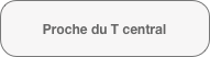 Proche du T central