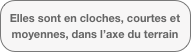 Elles sont en cloches, courtes et moyennes, dans l’axe du terrain