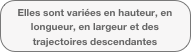 Elles sont variées en hauteur, en longueur, en largeur et des trajectoires descendantes